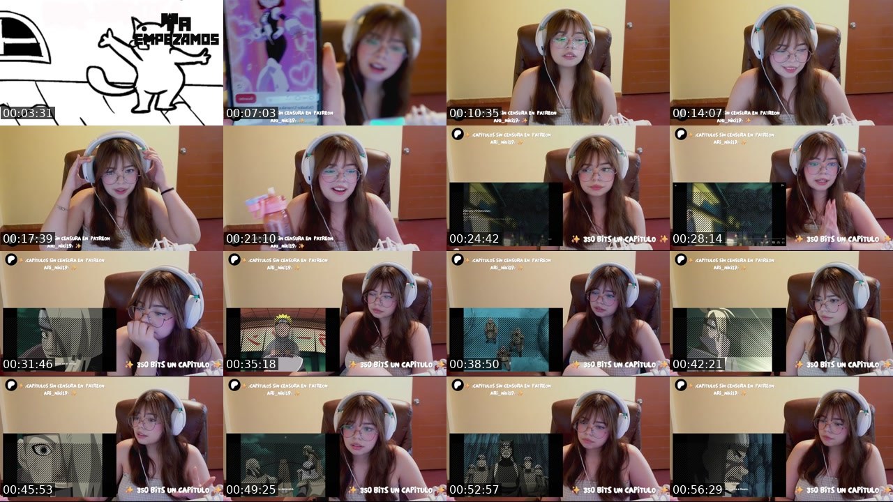 Contact-sheet preview of AriNiki19's Twitch recording