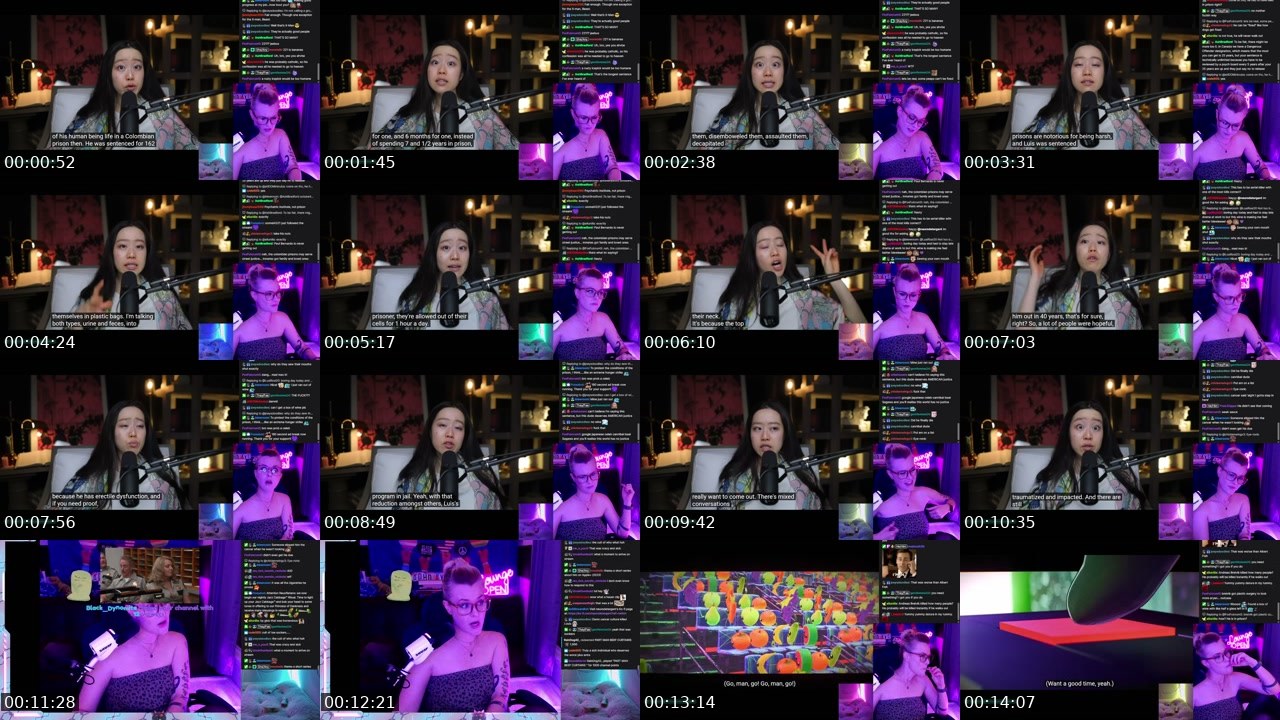Contact-sheet preview of neurodetergent's Twitch recording