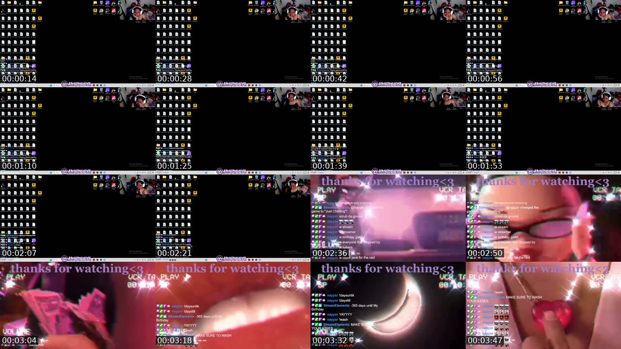 Contact-sheet preview of ArniSeeya's Twitch recording