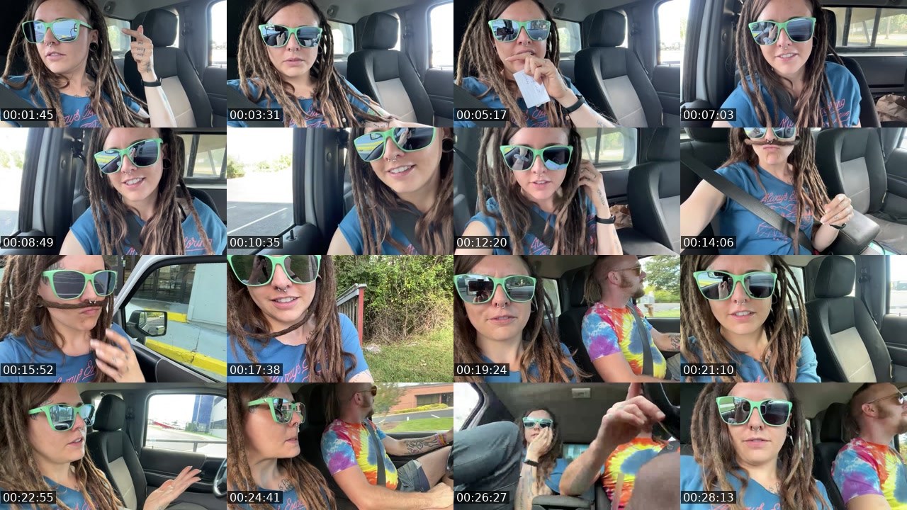 Contact-sheet preview of AlyssaWilds's Twitch recording
