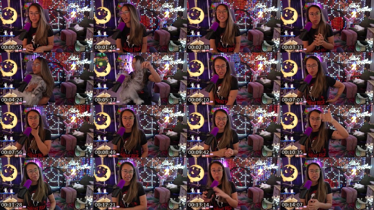 Contact-sheet preview of scillaxcats's Twitch recording