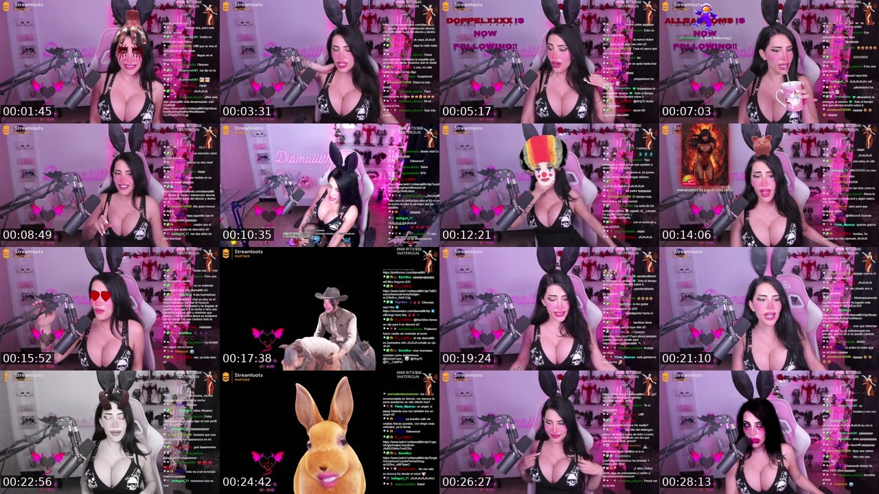 Contact-sheet preview of diamalilth's Twitch recording