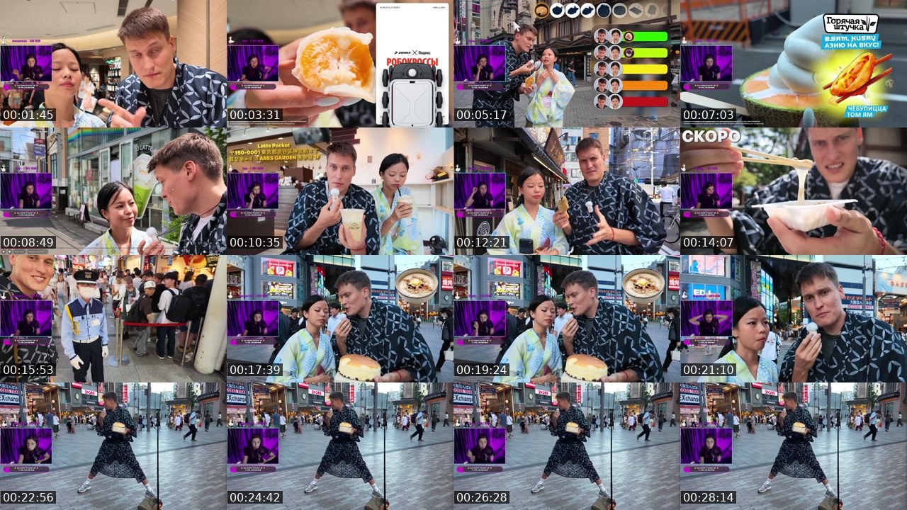 Contact-sheet preview of DidishkaTV's Twitch recording