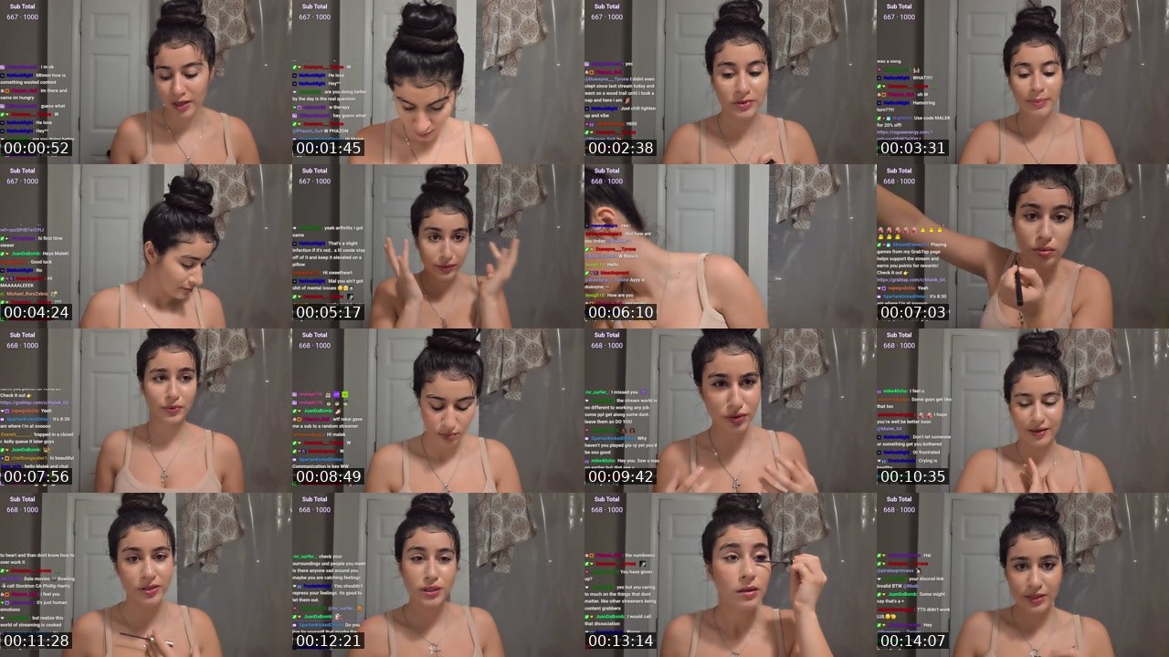 Contact-sheet preview of Malek_04's Twitch recording
