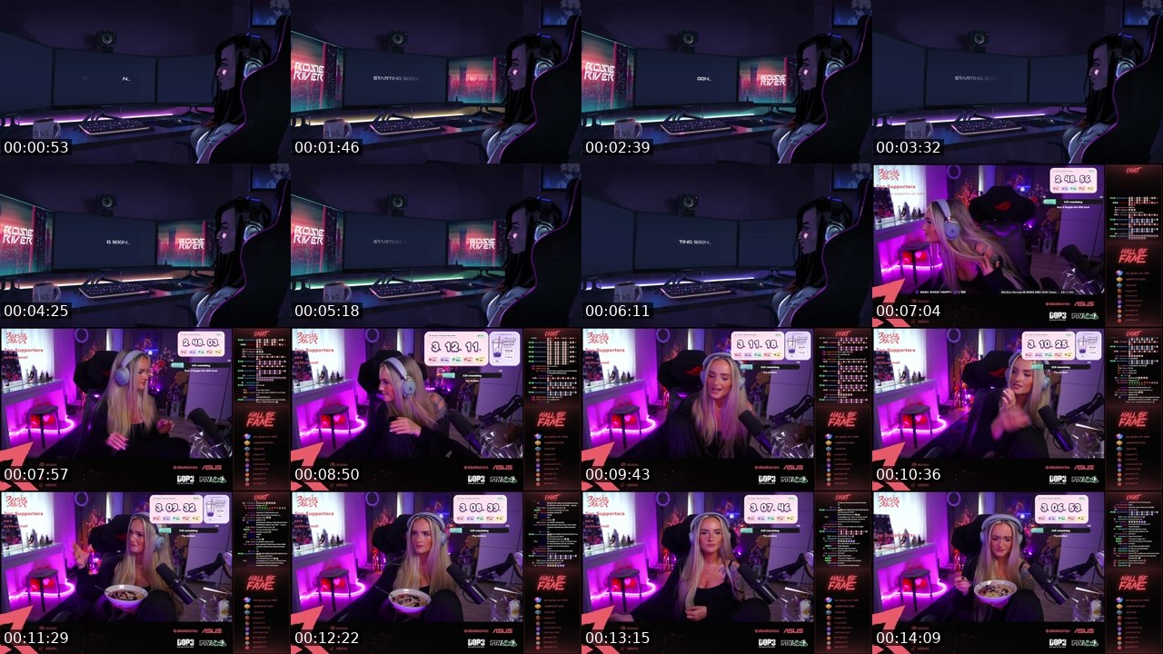 Contact-sheet preview of RosieRiver's Twitch recording