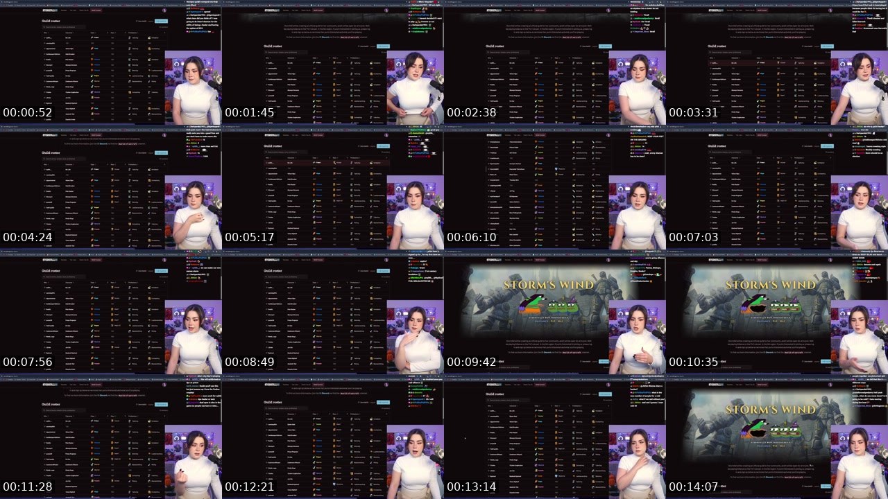 Contact-sheet preview of Stormfall33's Twitch recording