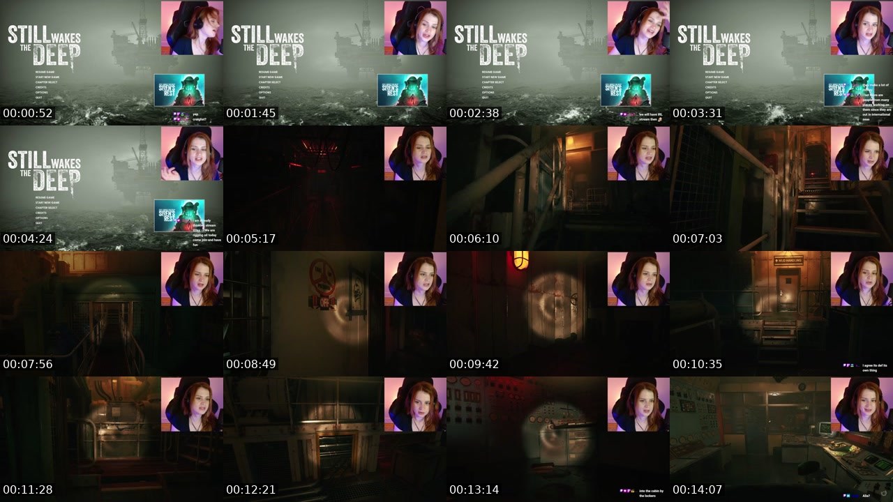 Contact-sheet preview of aliary_'s Twitch recording