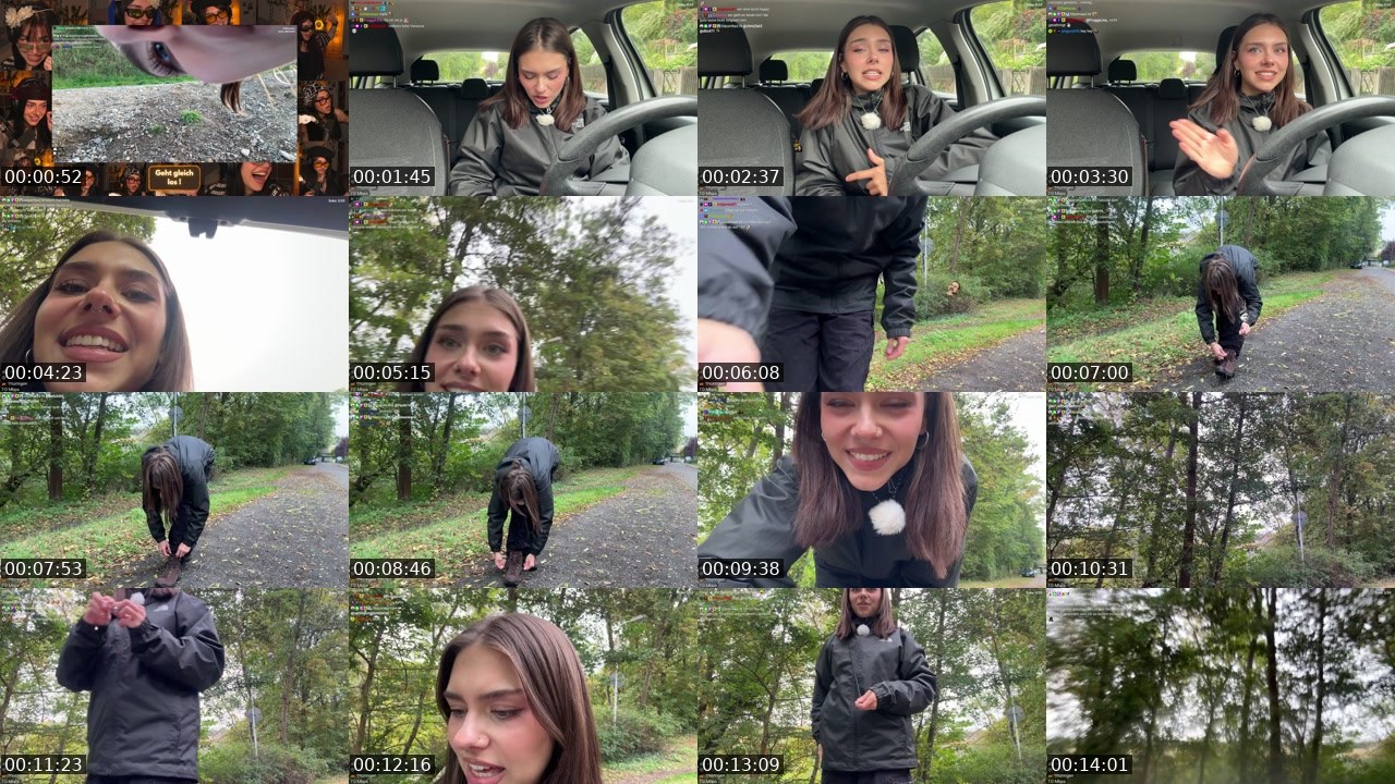 Contact-sheet preview of schiddii's Twitch recording