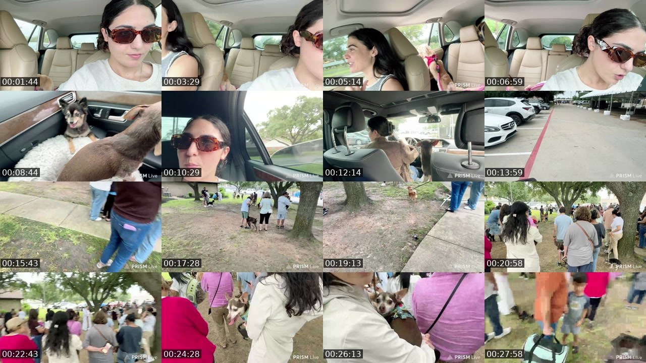 Contact-sheet preview of yayaballin1's Twitch recording