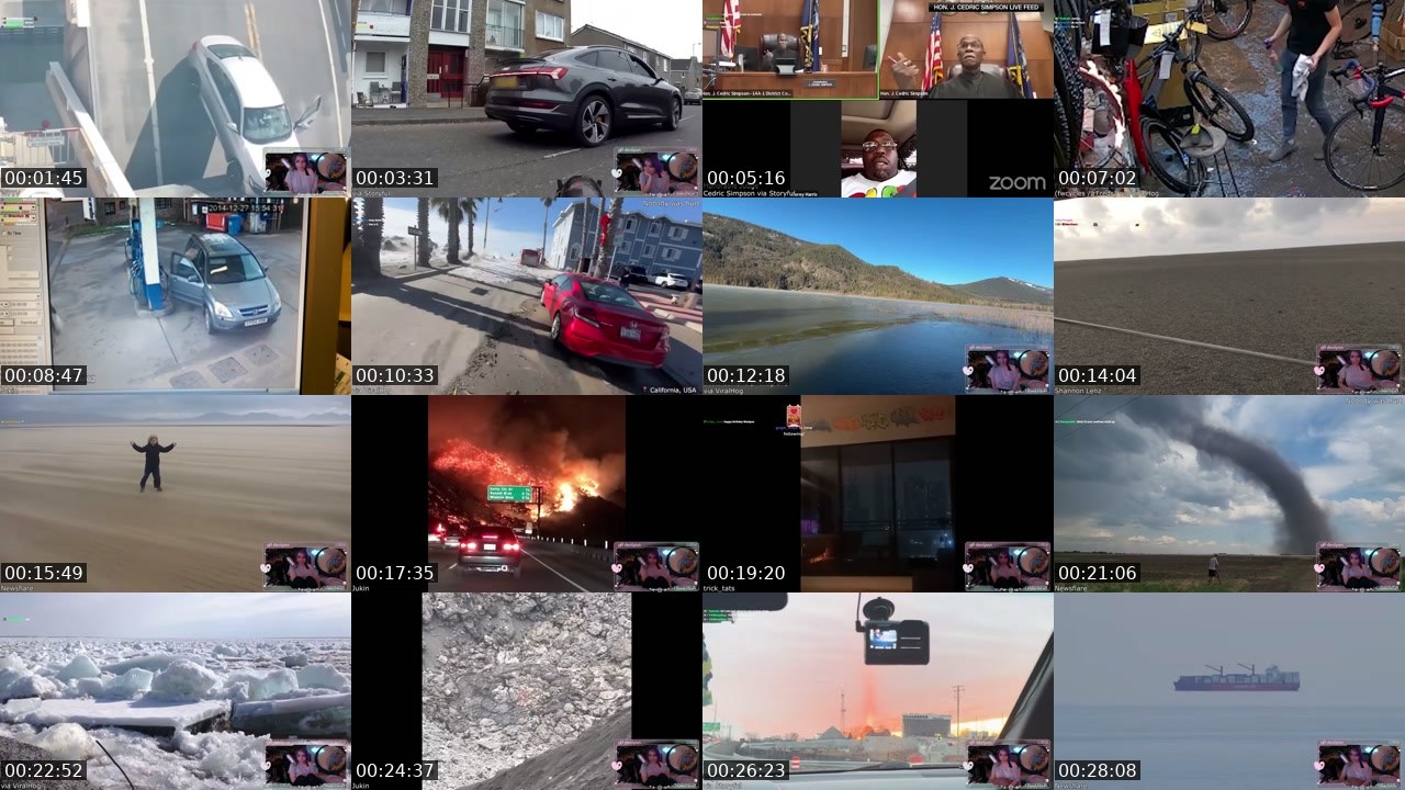 Contact-sheet preview of denipon's Twitch recording