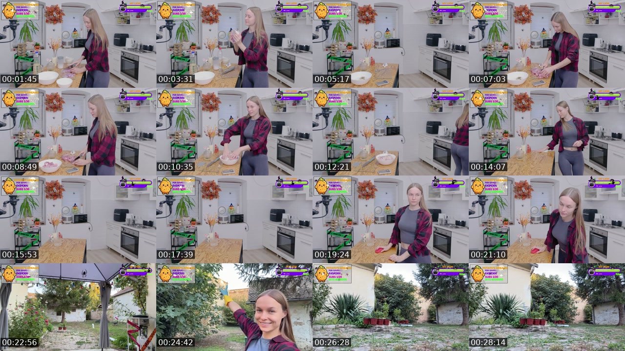 Contact-sheet preview of Gavrilka's Twitch recording