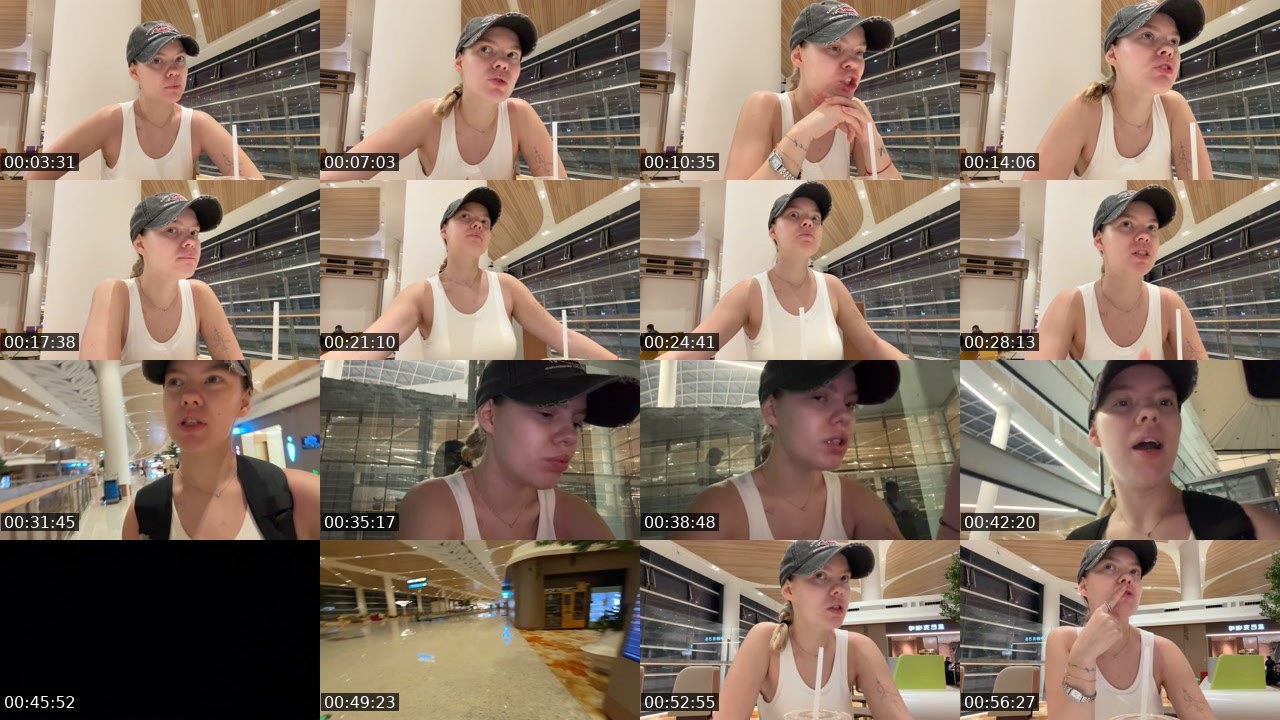 Contact-sheet preview of VIKIM0USE's Twitch recording