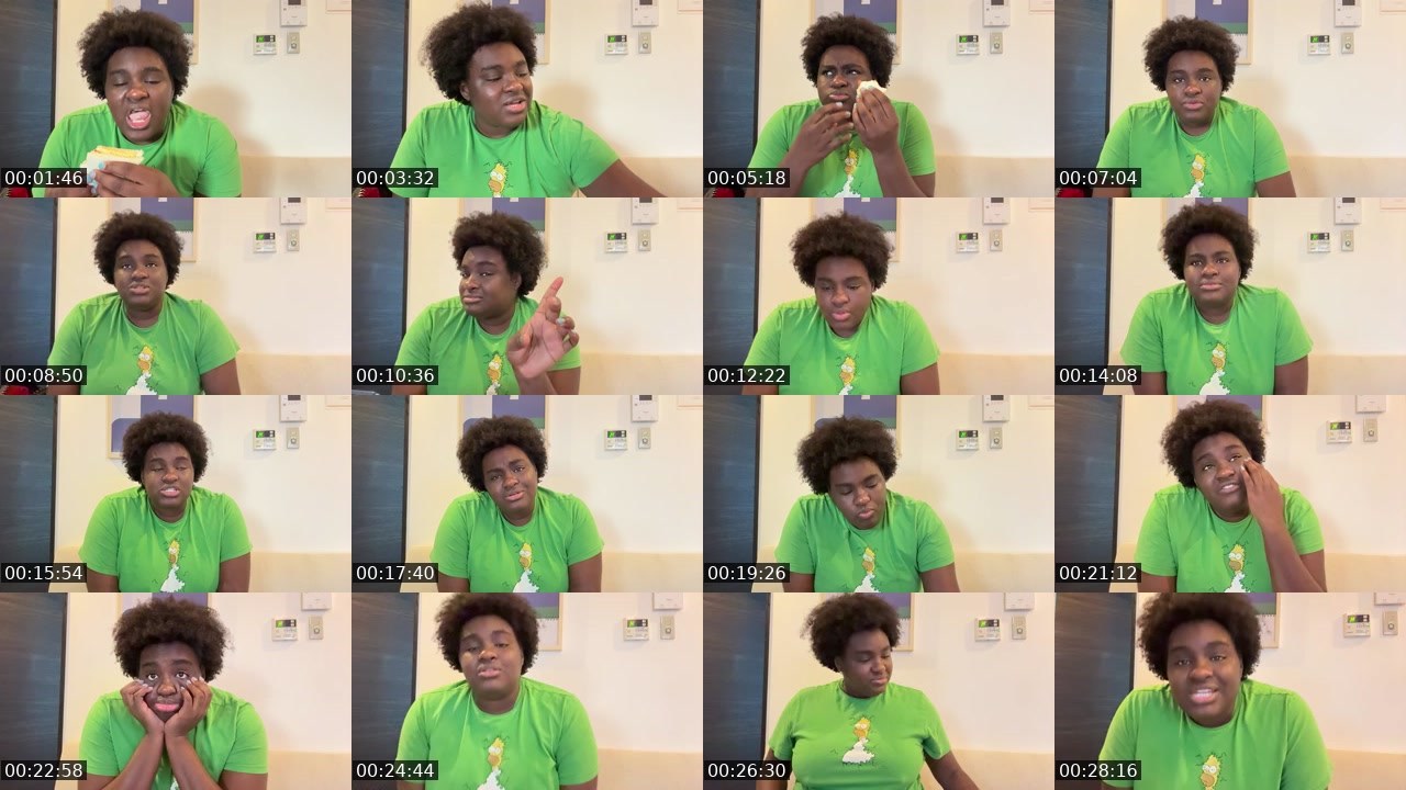 Contact-sheet preview of OoeyGooee's Twitch recording