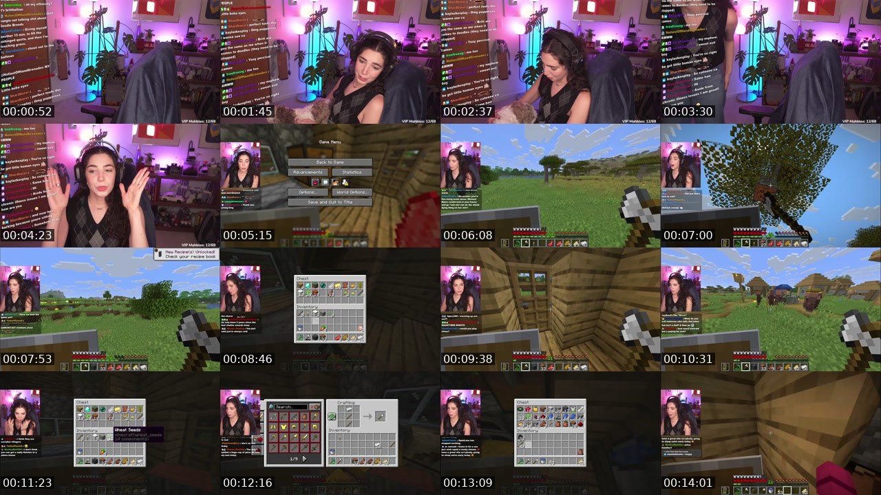 Contact-sheet preview of squidinkidink's Twitch recording