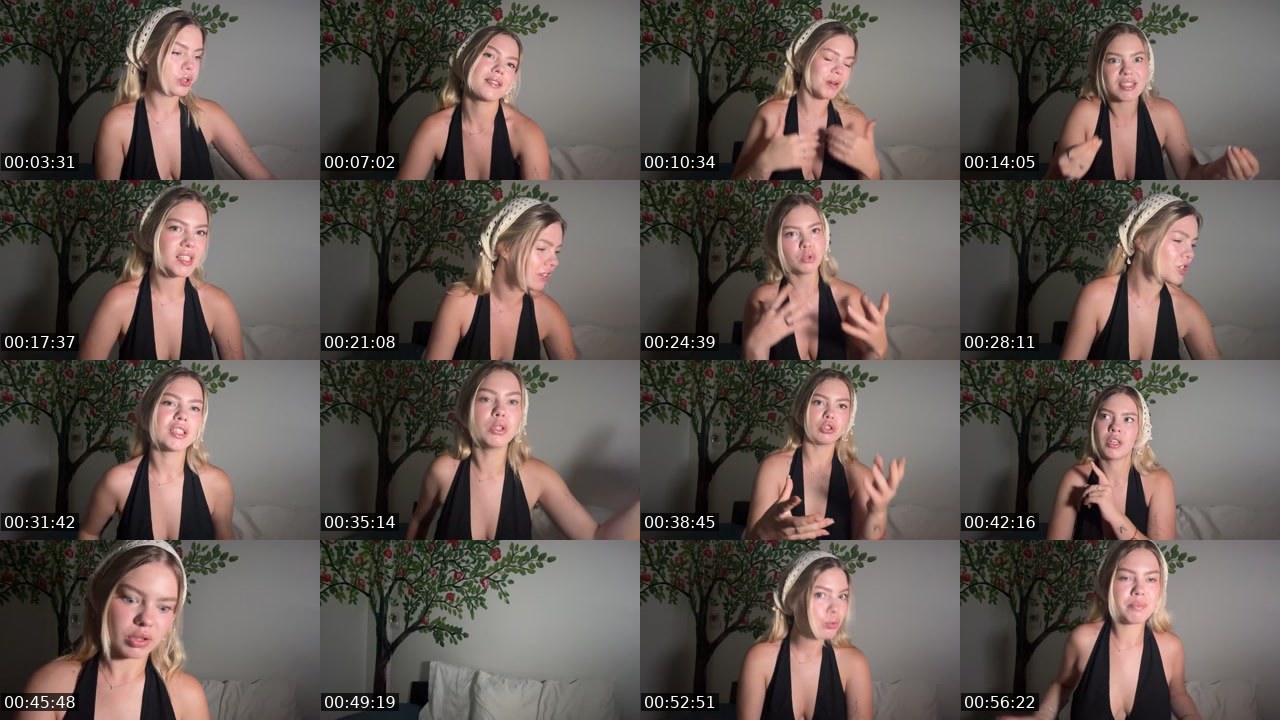 Contact-sheet preview of VIKIM0USE's Twitch recording
