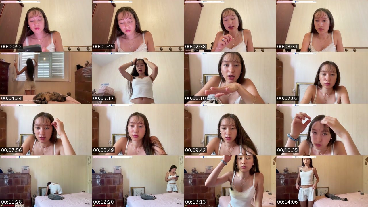 Contact-sheet preview of chiulazz's Twitch recording