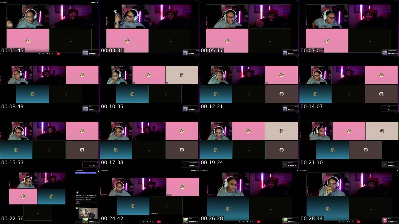 Contact-sheet preview of Akirajanelle's Twitch recording