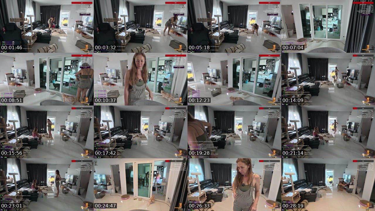 Contact-sheet preview of rodinafromthai's Twitch recording