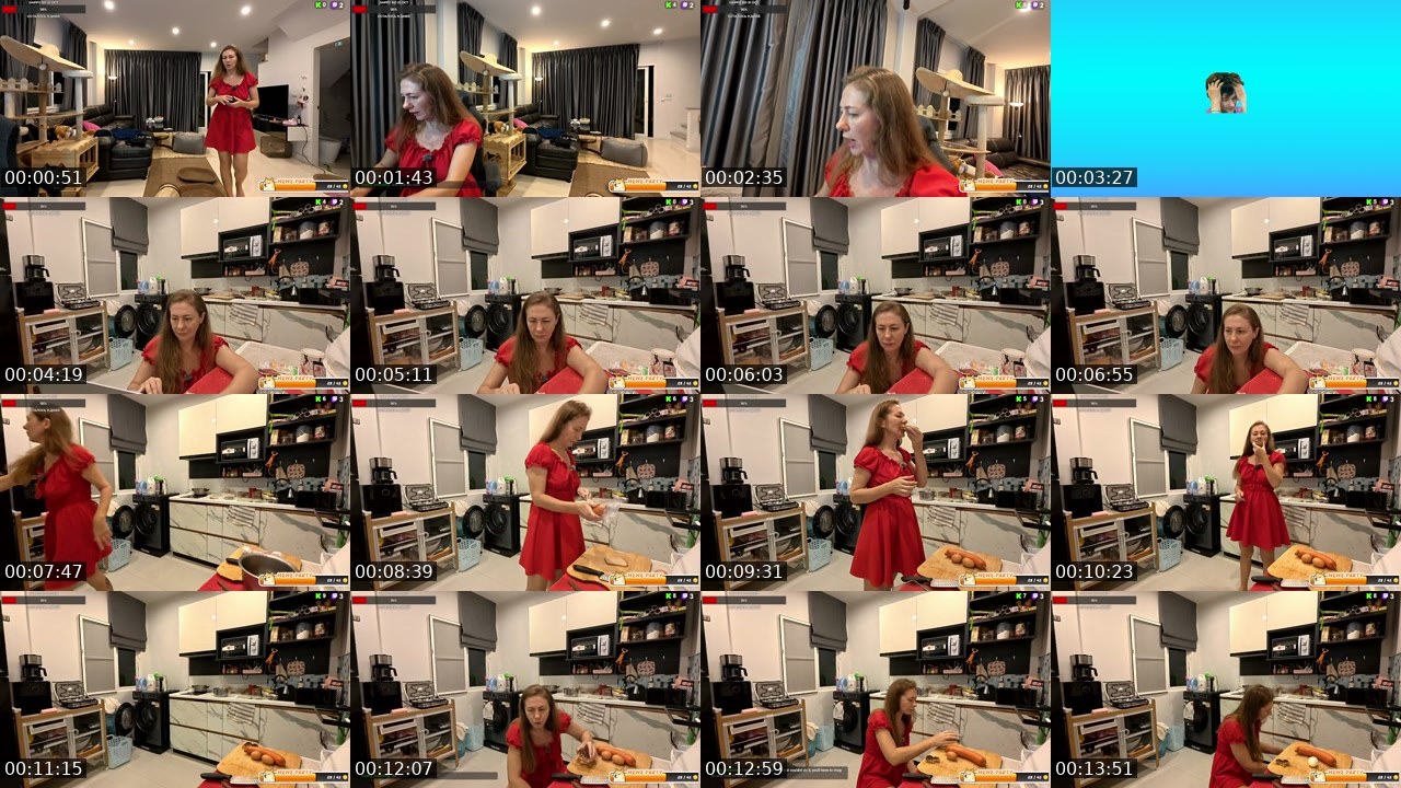Contact-sheet preview of rodinafromthai's Twitch recording