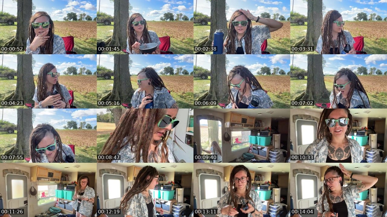 Contact-sheet preview of AlyssaWilds's Twitch recording