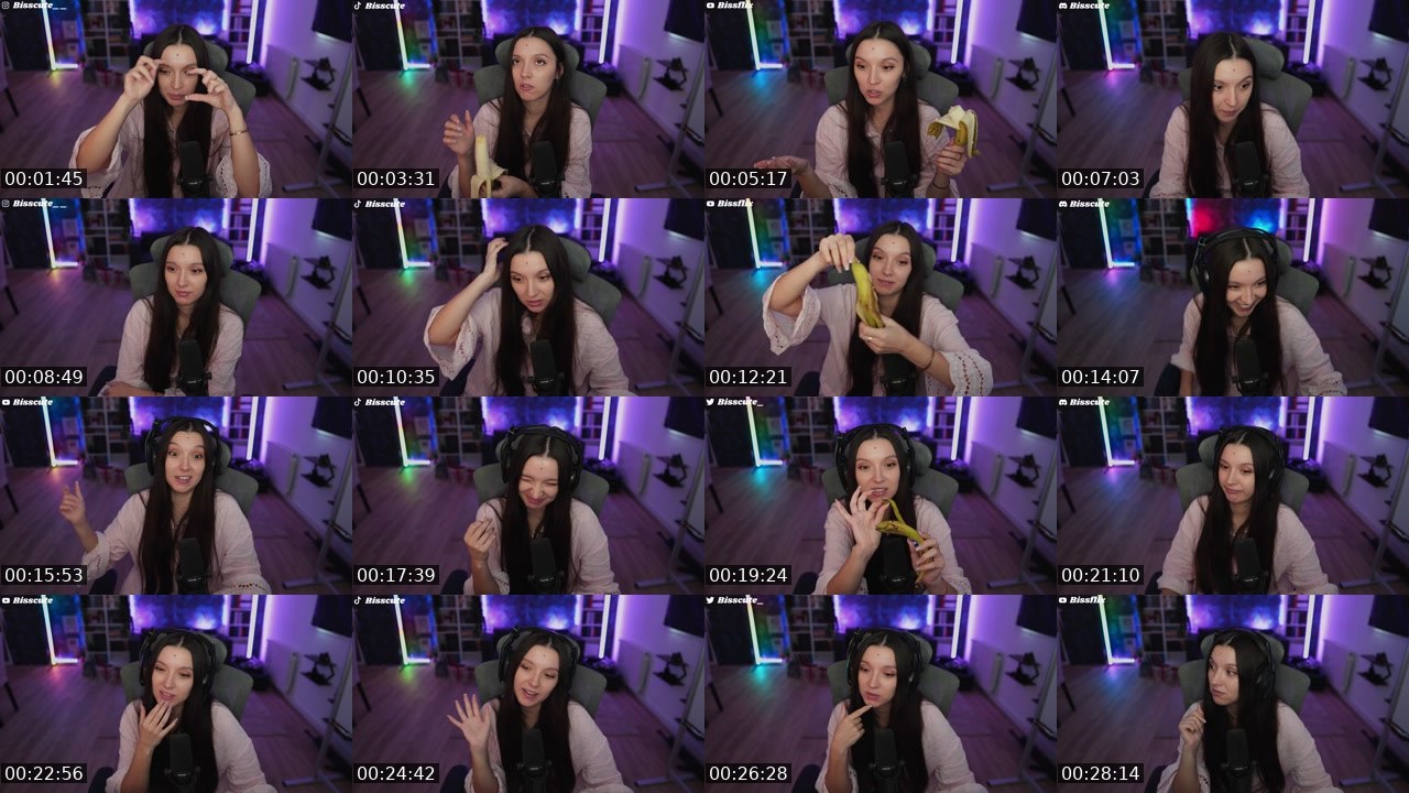 Contact-sheet preview of Bisscute's Twitch recording