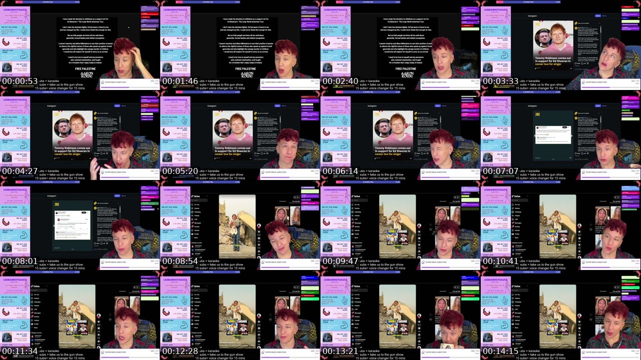 Contact-sheet preview of lesbianhotsauce's Twitch recording