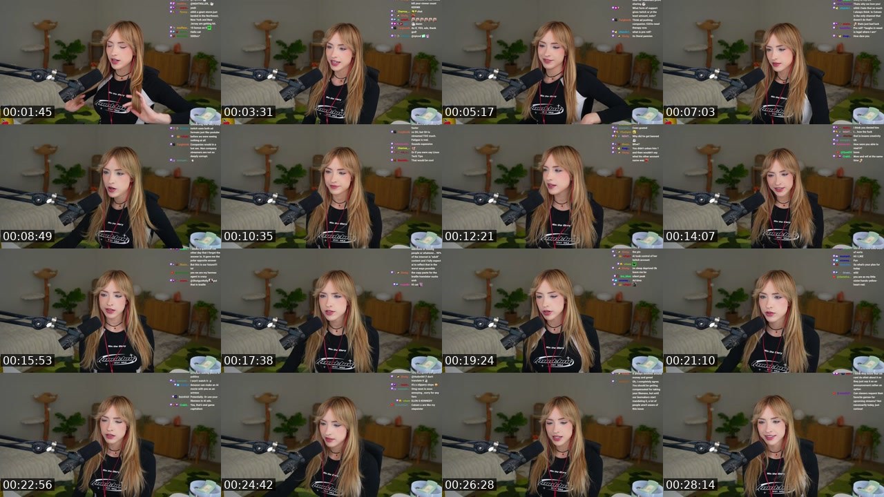 Contact-sheet preview of catsen's Twitch recording