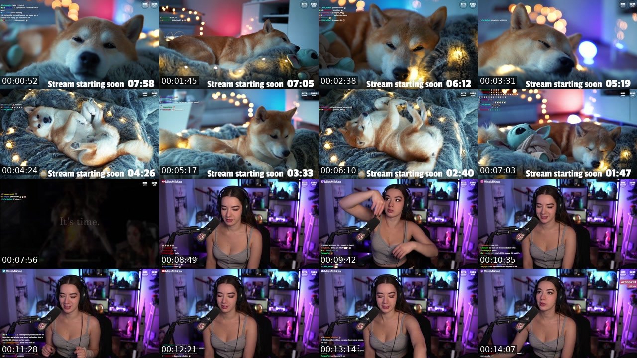 Contact-sheet preview of MissMikkaa's Twitch recording