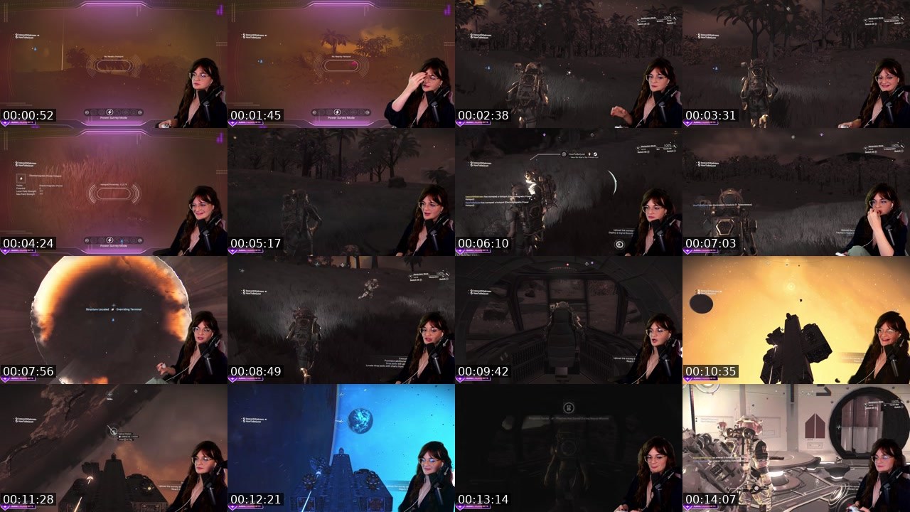 Contact-sheet preview of BeesWithTheKnees's Twitch recording