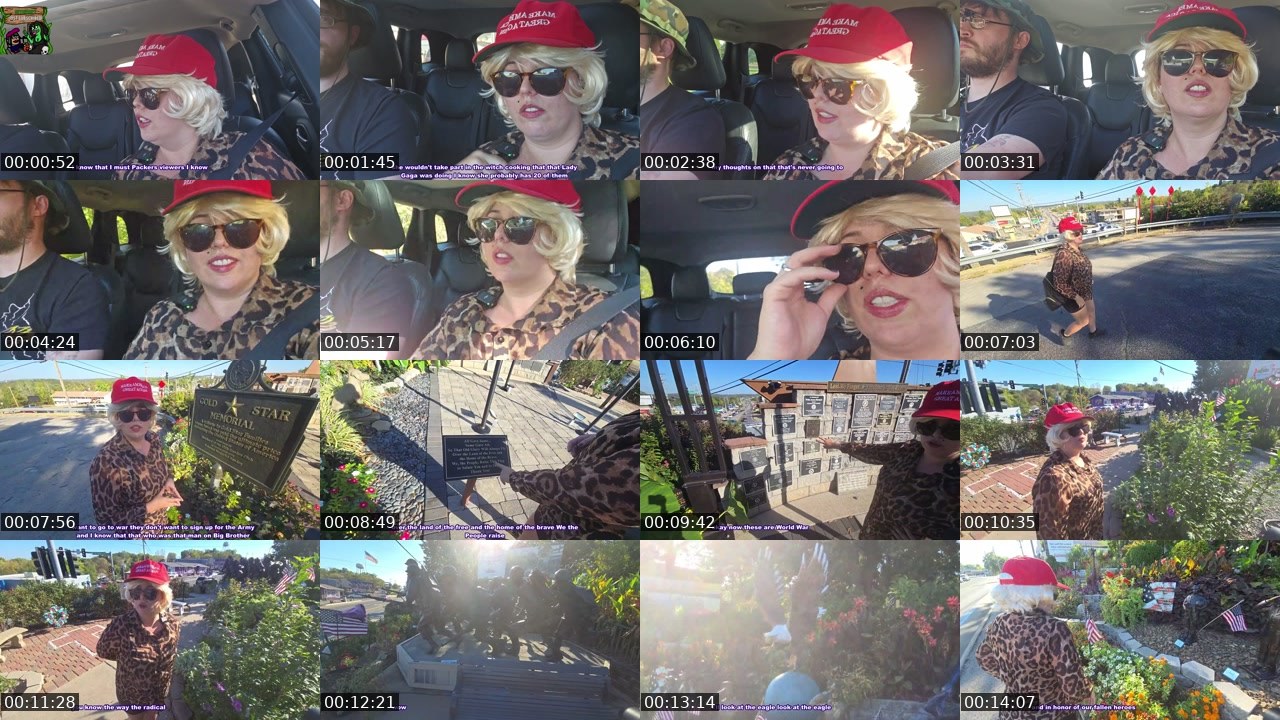 Contact-sheet preview of Kaceytron's Twitch recording