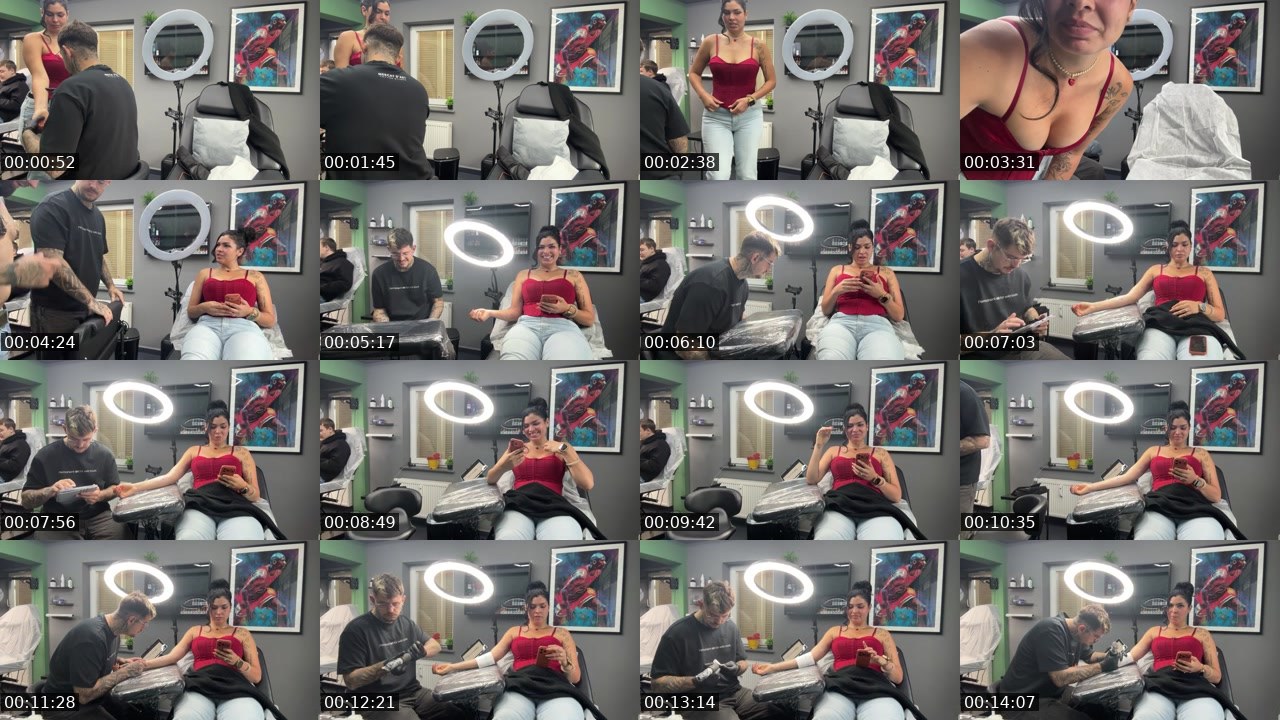 Contact-sheet preview of wolfee's Twitch recording