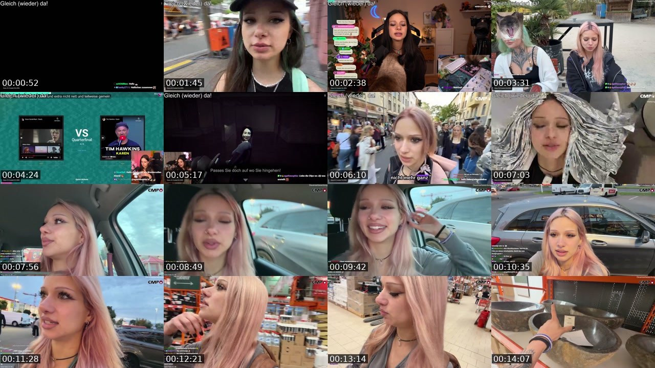 Contact-sheet preview of almostfeline's Twitch recording