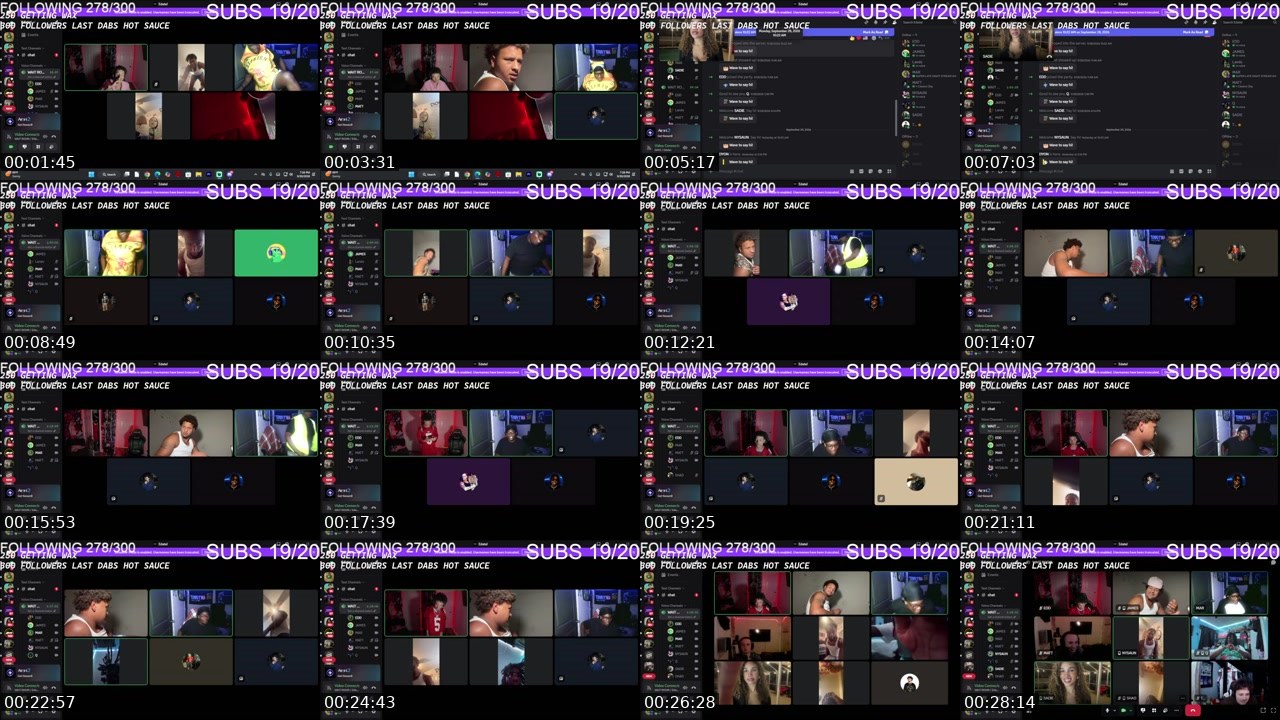 Contact-sheet preview of immbdmar's Twitch recording