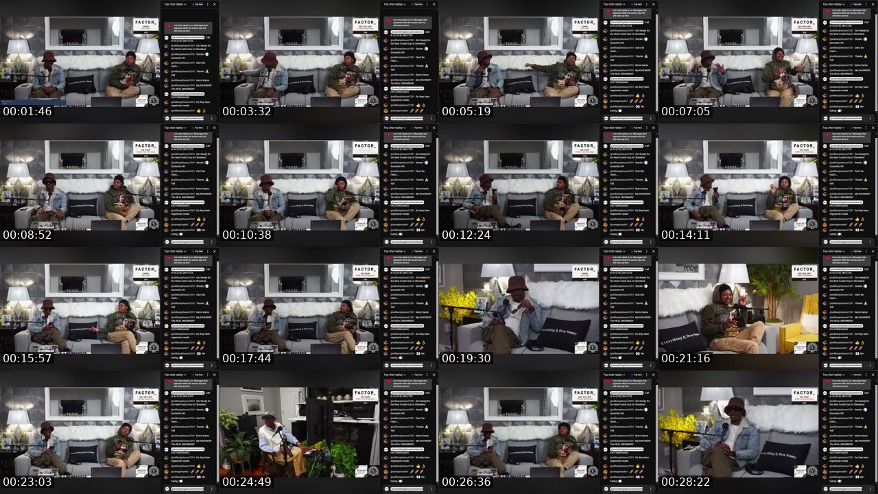 Contact-sheet preview of EverythingDenSomeNetwork's Twitch recording