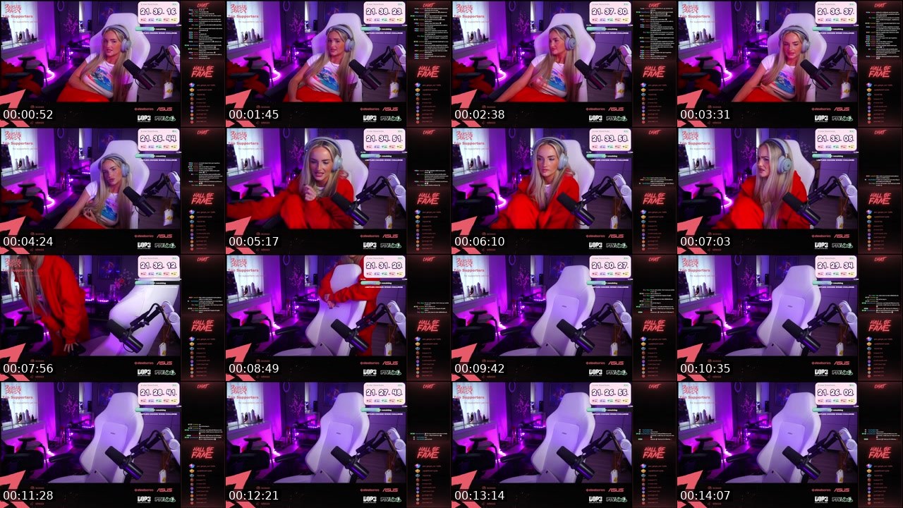 Contact-sheet preview of RosieRiver's Twitch recording