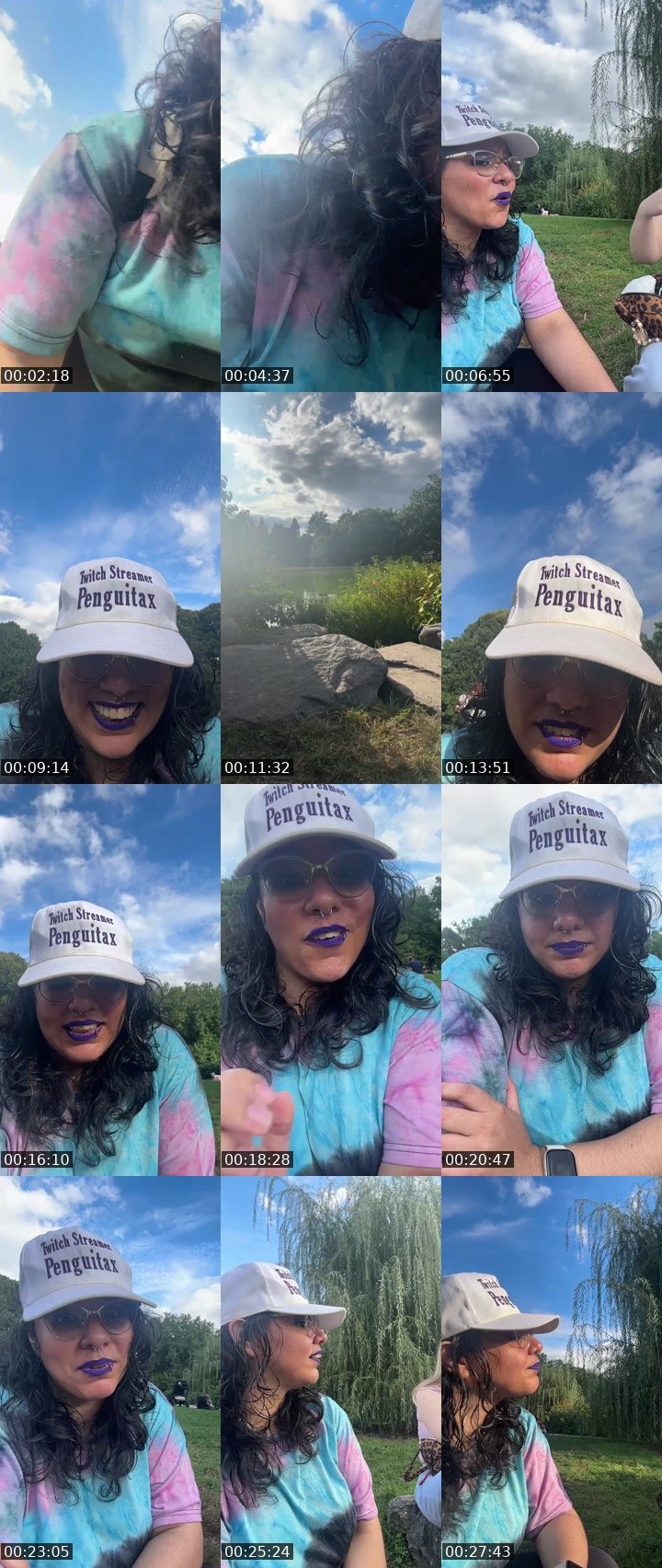 Contact-sheet preview of Penguitax's Twitch recording