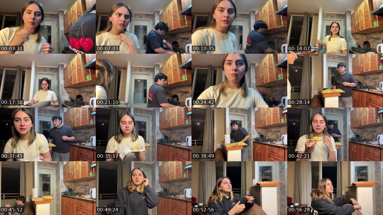 Contact-sheet preview of japijesu's Twitch recording