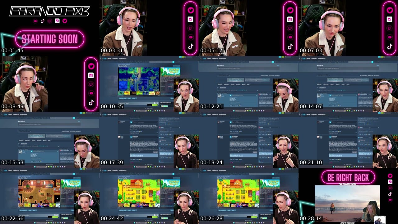 Contact-sheet preview of ParanoidPixi3_ZA's Twitch recording