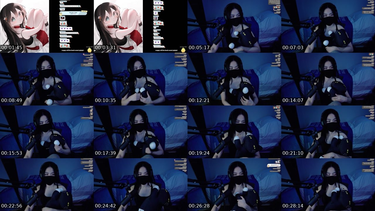 Contact-sheet preview of CaptainCuppyCake's Twitch recording