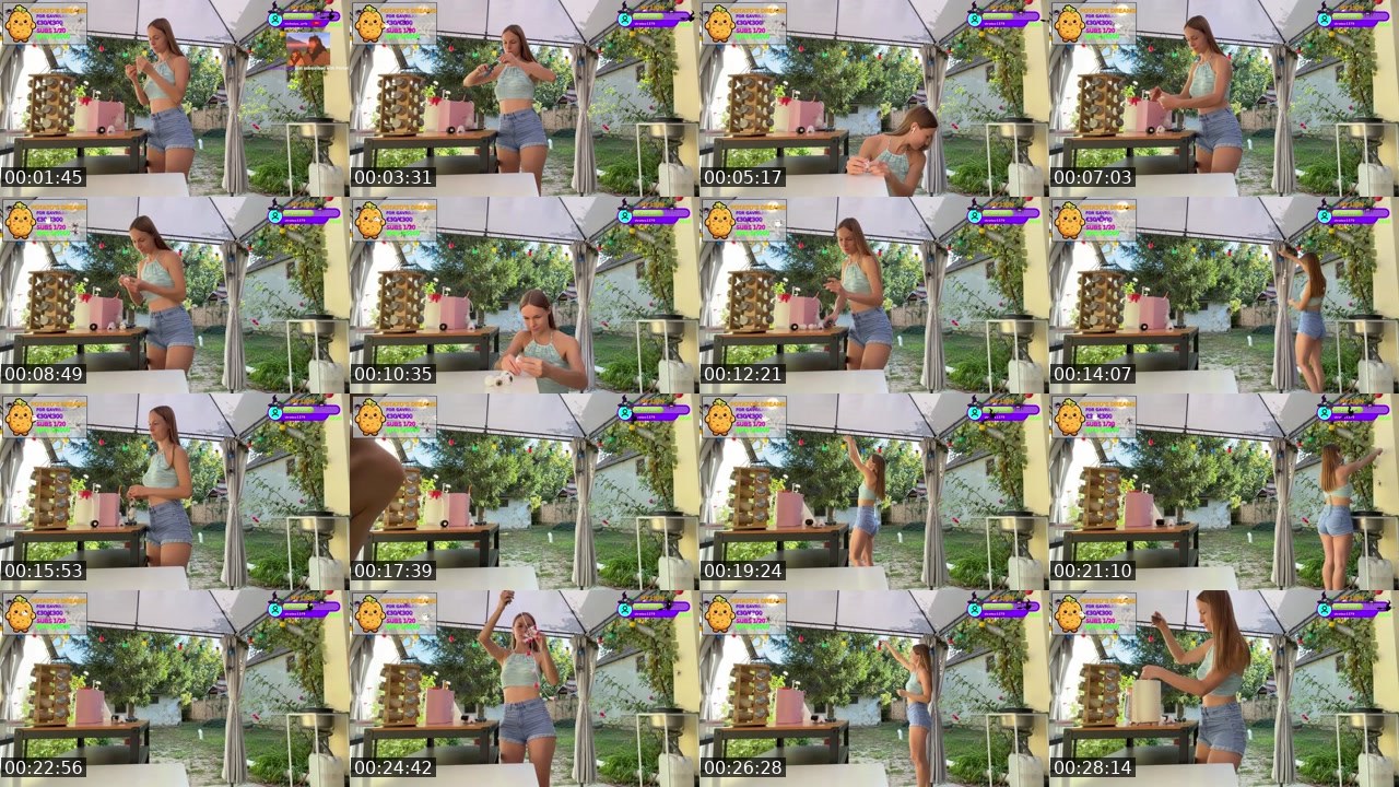 Contact-sheet preview of Gavrilka's Twitch recording