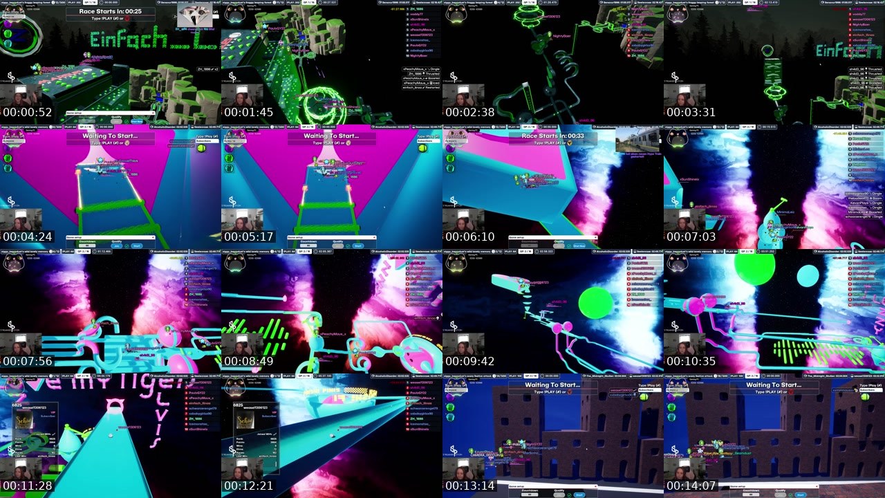 Contact-sheet preview of einfach_liinaa's Twitch recording