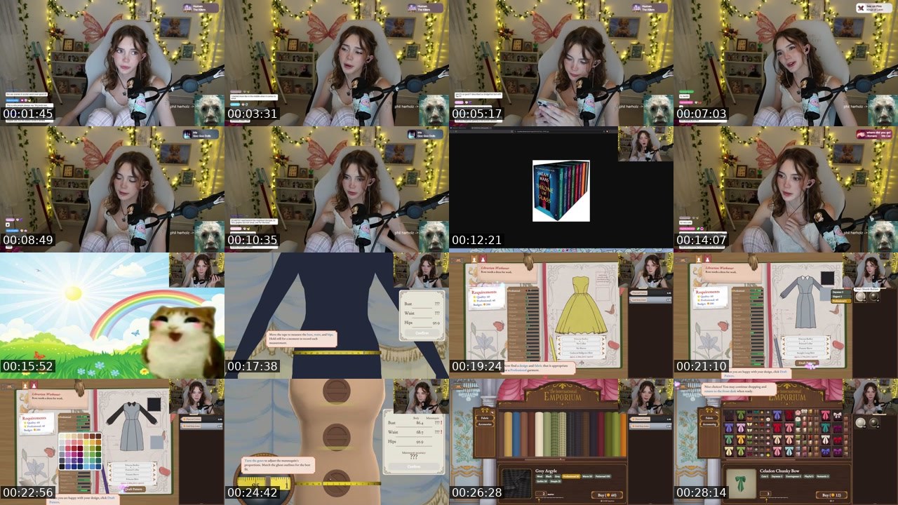 Contact-sheet preview of hollsbeauti's Twitch recording