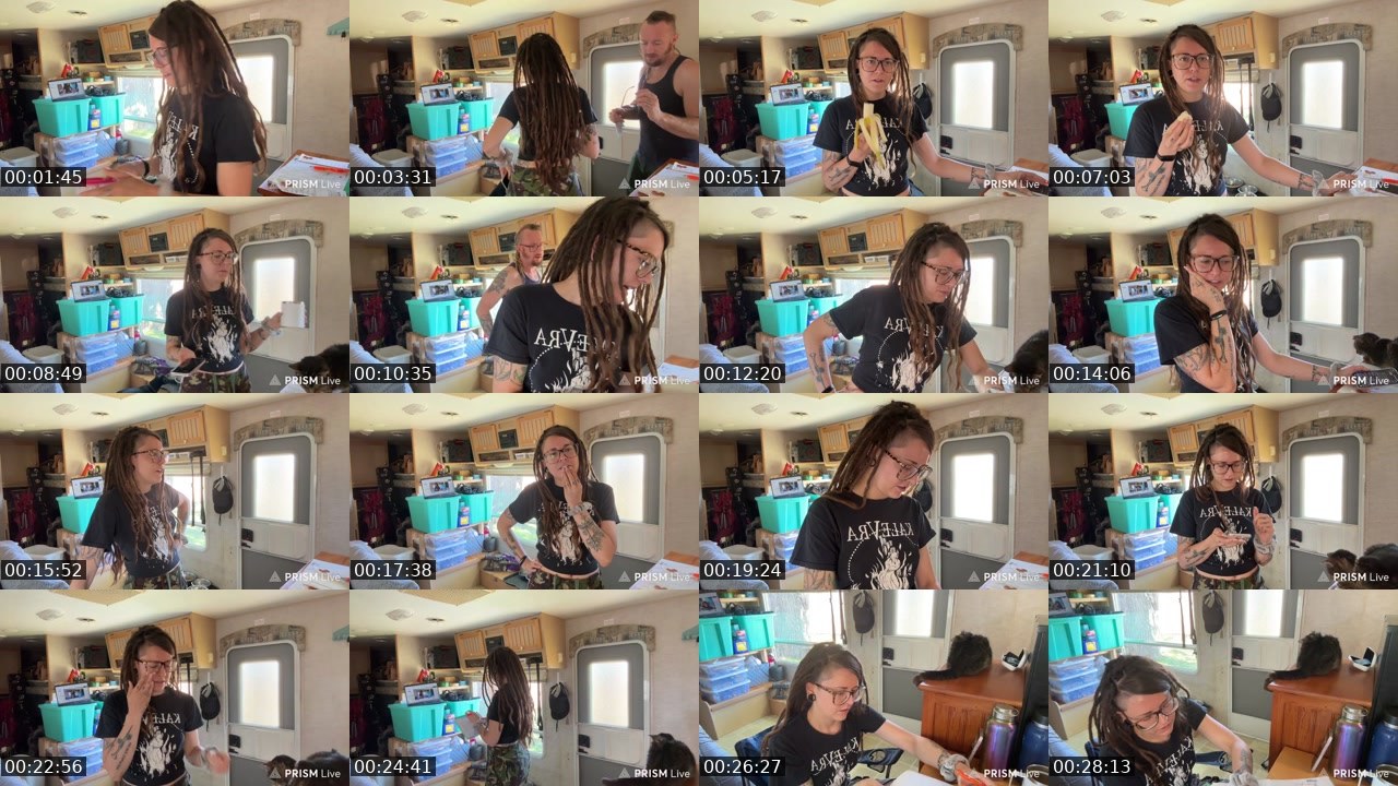 Contact-sheet preview of AlyssaWilds's Twitch recording