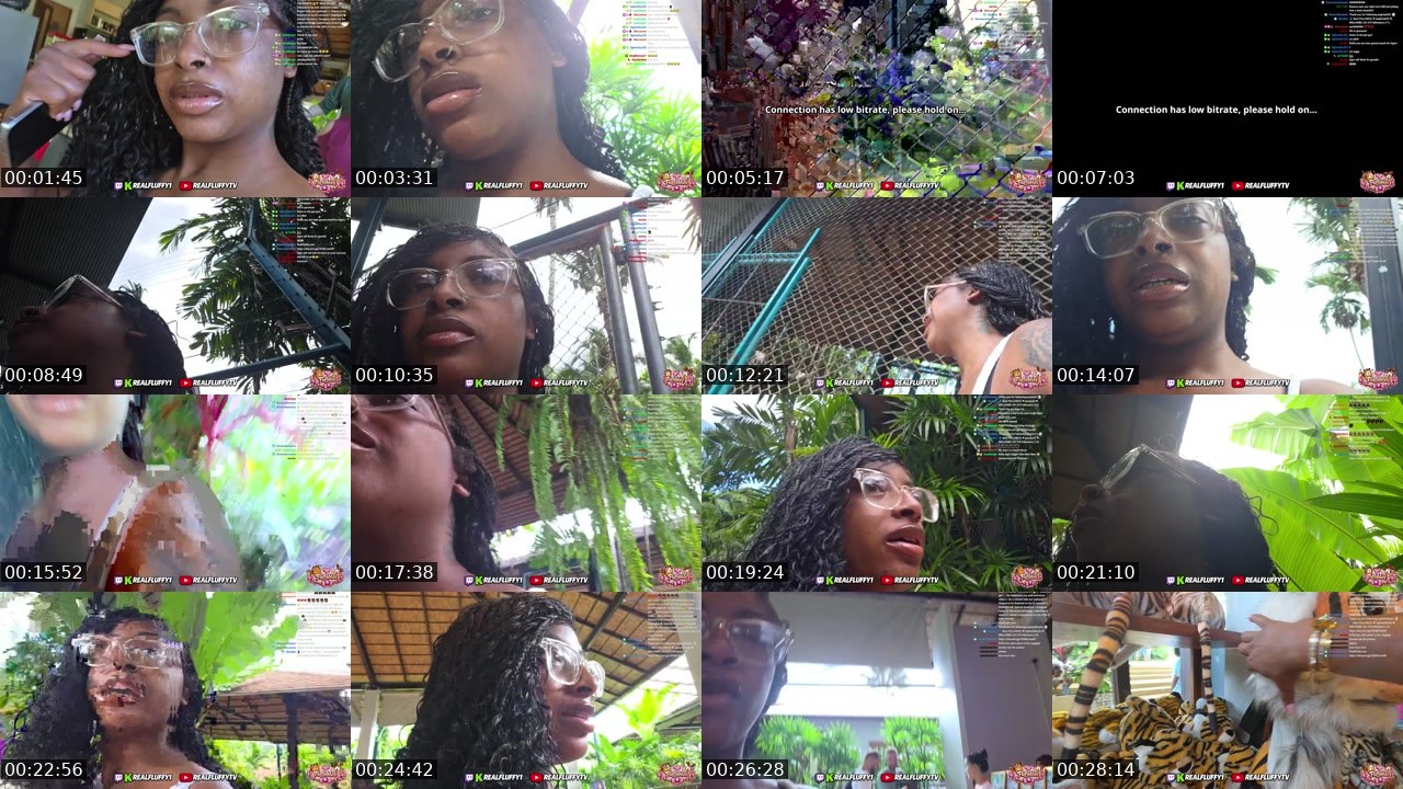 Contact-sheet preview of RealFluffy1's Twitch recording