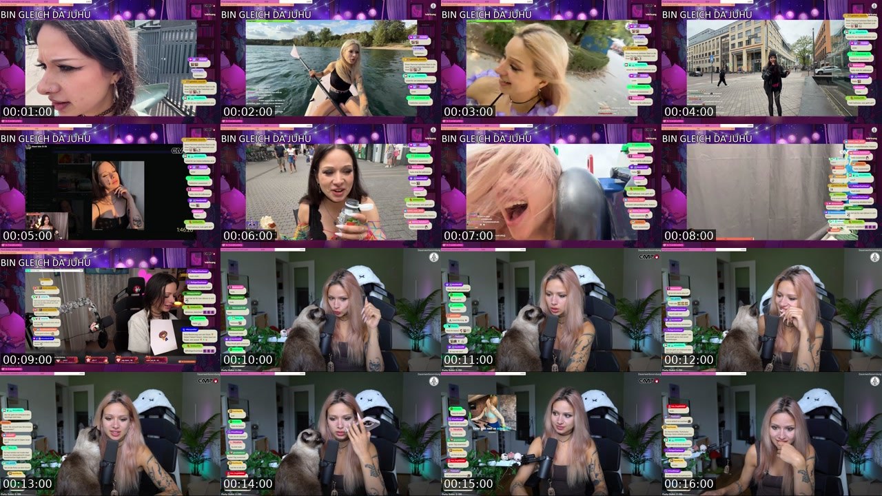 Contact-sheet preview of almostfeline's Twitch recording