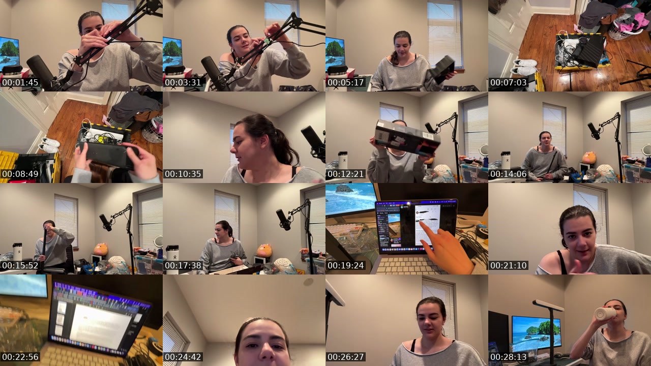 Contact-sheet preview of mochachloe's Twitch recording