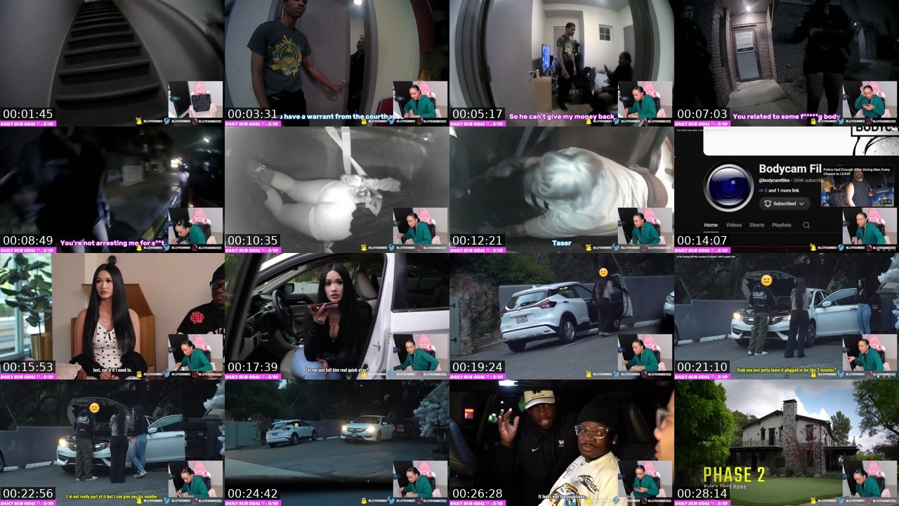 Contact-sheet preview of AllEyesOnDee's Twitch recording