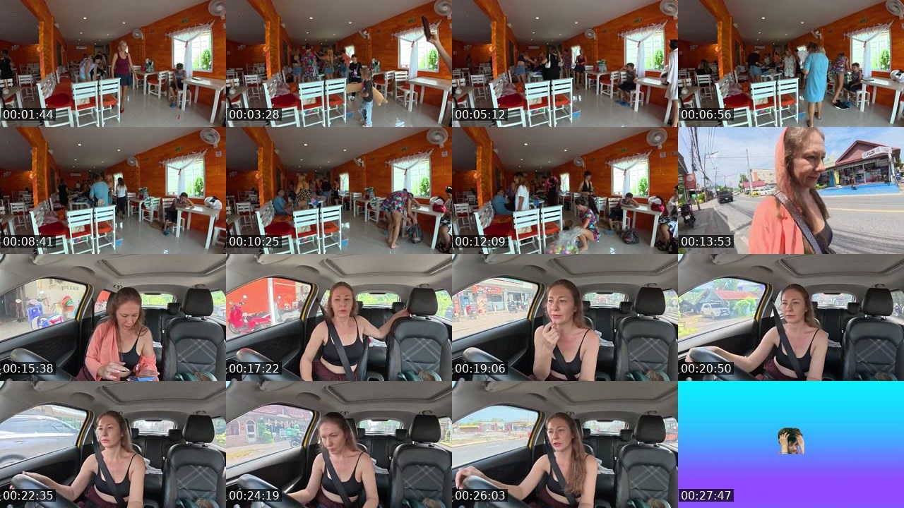 Contact-sheet preview of rodinafromthai's Twitch recording