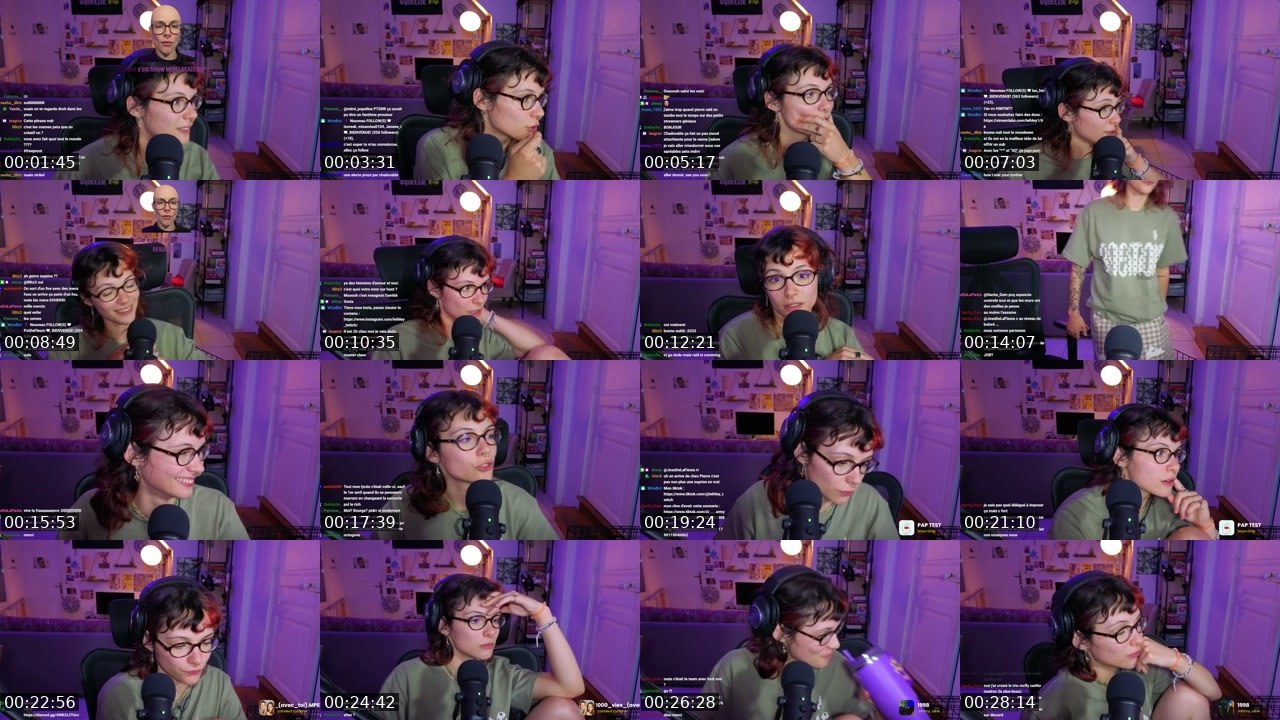 Contact-sheet preview of leihley's Twitch recording