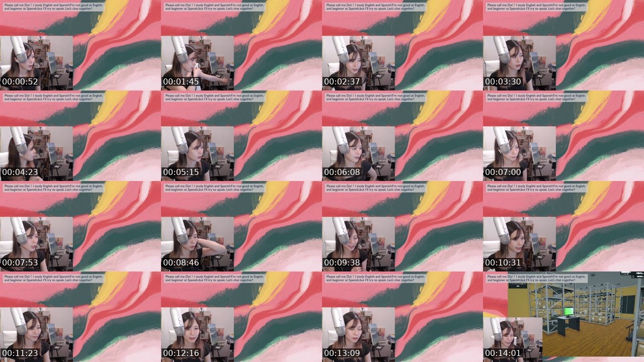 Contact-sheet preview of ドゥルカマラ's Twitch recording